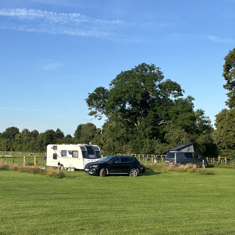 Caravan pitched with tree behind