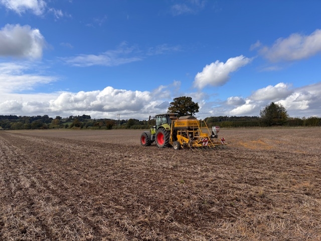 Direct planting with Claydon drill.